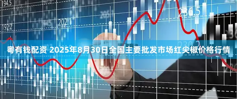 粤有钱配资 2025年8月30日全国主要批发市场红尖椒价格行情